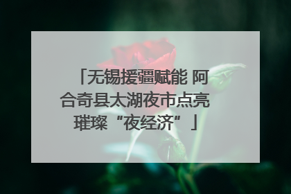 无锡援疆赋能 阿合奇县太湖夜市点亮璀璨“夜经济”