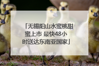 无锡阳山水蜜桃甜蜜上市 最快48小时送达东南亚国家