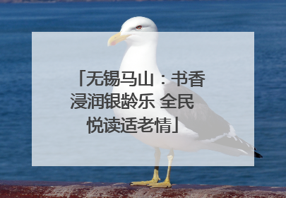 无锡马山：书香浸润银龄乐 全民悦读适老情