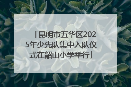 昆明市五华区2025年少先队集中入队仪式在韶山小学举行