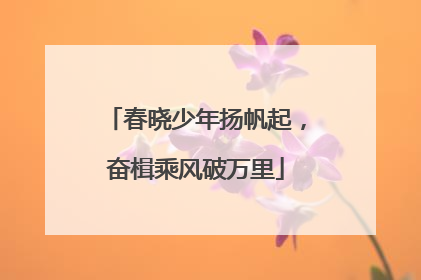 春晓少年扬帆起，奋楫乘风破万里