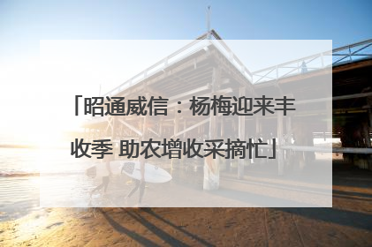 昭通威信：杨梅迎来丰收季 助农增收采摘忙