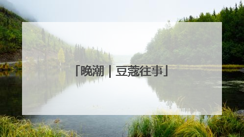 晚潮｜豆蔻往事