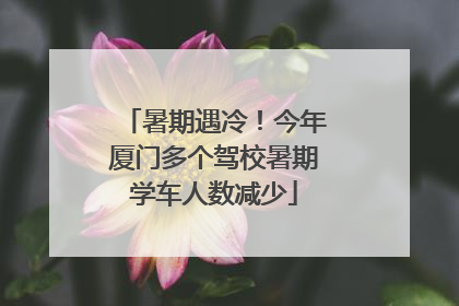 暑期遇冷！今年厦门多个驾校暑期学车人数减少