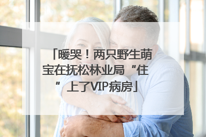 暖哭！两只野生萌宝在抚松林业局“住”上了VIP病房