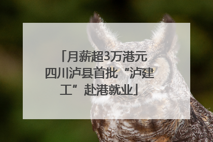 月薪超3万港元 四川泸县首批“泸建工”赴港就业