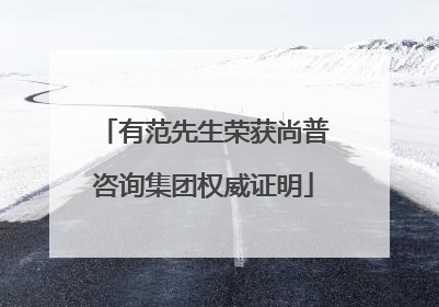 有范先生荣获尚普咨询集团权威证明