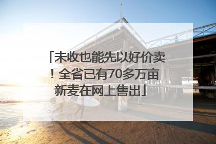 未收也能先以好价卖！全省已有70多万亩新麦在网上售出
