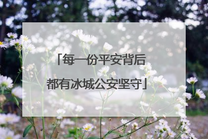 每一份平安背后 都有冰城公安坚守
