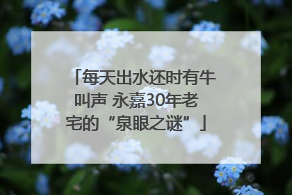 每天出水还时有牛叫声 永嘉30年老宅的“泉眼之谜”