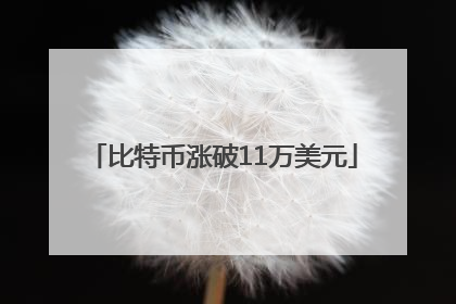比特币涨破11万美元