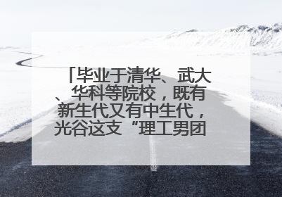 毕业于清华、武大、华科等院校，既有新生代又有中生代，光谷这支“理工男团”为何“出道”？