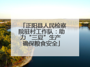 正阳县人民检察院驻村工作队：助力“三夏”生产 确保粮食安全