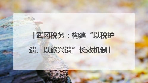 武冈税务：构建“以税护遗、以旅兴遗”长效机制