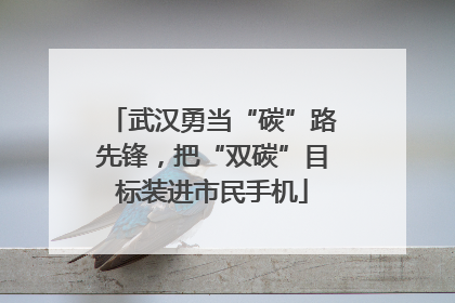 武汉勇当“碳”路先锋，把“双碳”目标装进市民手机