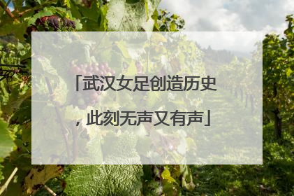 武汉女足创造历史，此刻无声又有声