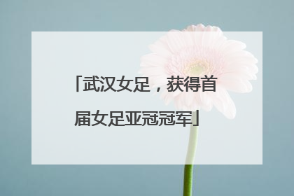武汉女足，获得首届女足亚冠冠军