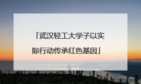 武汉轻工大学子以实际行动传承红色基因