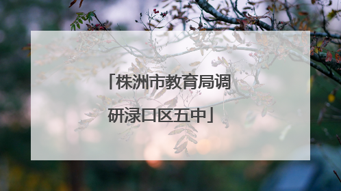 株洲市教育局调研渌口区五中