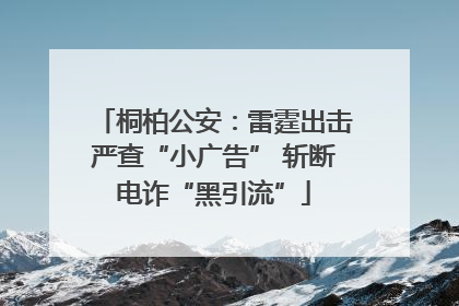 桐柏公安：雷霆出击严查“小广告” 斩断电诈“黑引流”