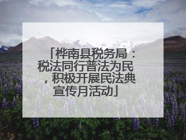 桦南县税务局：税法同行普法为民，积极开展民法典宣传月活动
