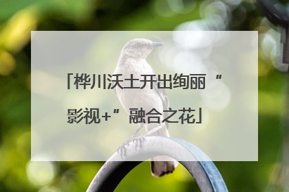 桦川沃土开出绚丽“影视+”融合之花