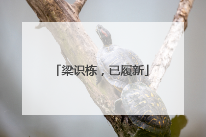 梁识栋，已履新