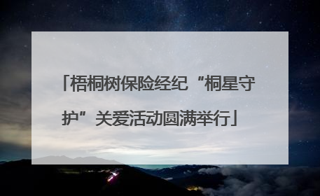 梧桐树保险经纪“桐星守护”关爱活动圆满举行