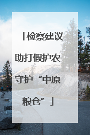 检察建议助打假护农守护“中原粮仓”