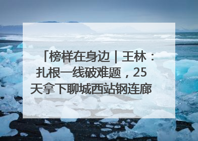 榜样在身边｜王林：扎根一线破难题，25天拿下聊城西站钢连廊“硬核”工程