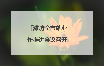 潍坊全市就业工作推进会议召开