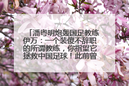 潘粤明炮轰国足教练伊万：一个装傻不辞职的所谓教练，你指望它拯救中国足球！此前曾多次发文评价国足