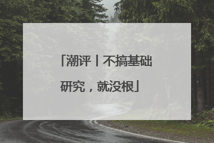 潮评丨不搞基础研究，就没根
