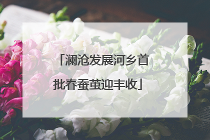 澜沧发展河乡首批春蚕茧迎丰收