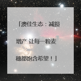 澳佳生态：减损增产 让每一粒麦穗都饱含希望！