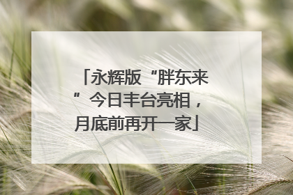 永辉版“胖东来”今日丰台亮相，月底前再开一家