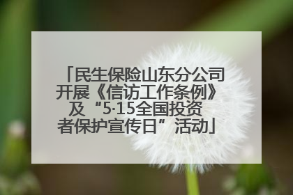 民生保险山东分公司开展《信访工作条例》及“5·15全国投资者保护宣传日”活动