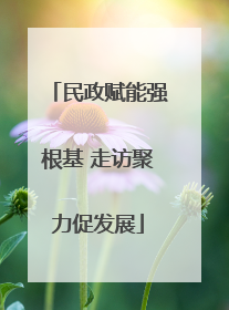 民政赋能强根基 走访聚力促发展