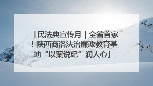 民法典宣传月｜全省首家！陕西商洛法治廉政教育基地“以案说纪”润人心