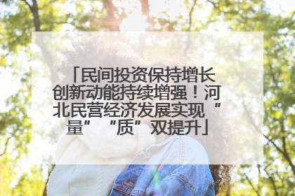 民间投资保持增长 创新动能持续增强！河北民营经济发展实现“量”“质”双提升