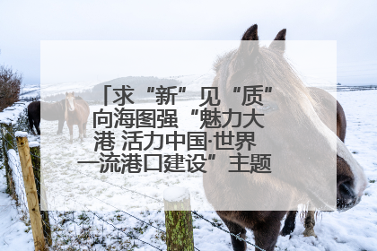 求“新”见“质” 向海图强“魅力大港 活力中国·世界一流港口建设”主题宣传活动走进山东