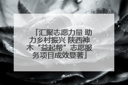 汇聚志愿力量 助力乡村振兴 陕西神木“益起帮”志愿服务项目成效显著