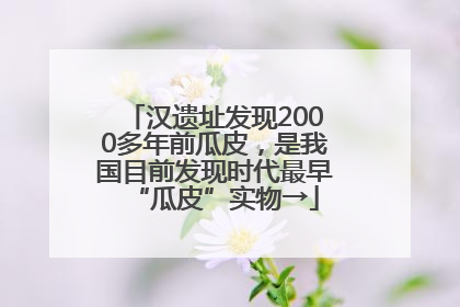 汉遗址发现2000多年前瓜皮，是我国目前发现时代最早“瓜皮”实物→