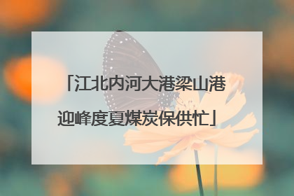 江北内河大港梁山港迎峰度夏煤炭保供忙