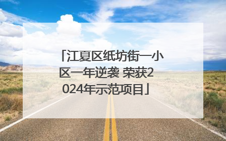 江夏区纸坊街一小区一年逆袭 荣获2024年示范项目