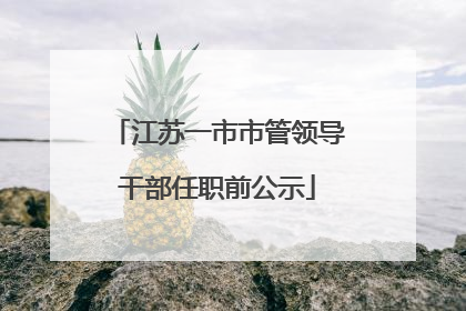 江苏一市市管领导干部任职前公示