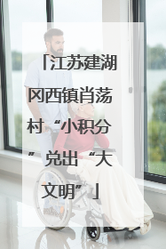 江苏建湖冈西镇肖荡村“小积分”兑出“大文明”