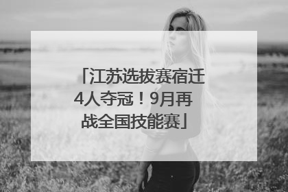江苏选拔赛宿迁4人夺冠！9月再战全国技能赛