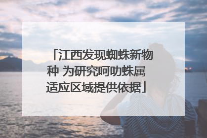江西发现蜘蛛新物种 为研究呵叻蛛属适应区域提供依据
