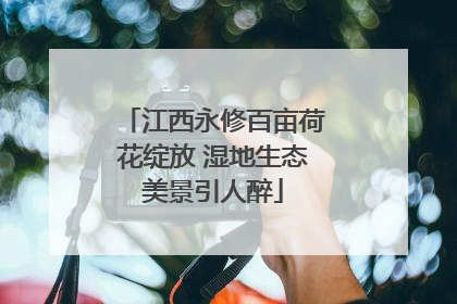 江西永修百亩荷花绽放 湿地生态美景引人醉